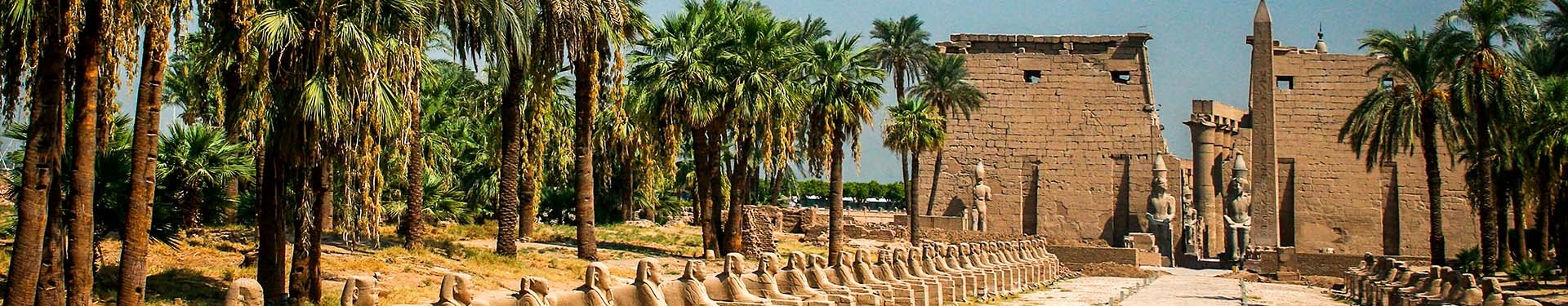 Del Cairo a Abu Simbel por carretera