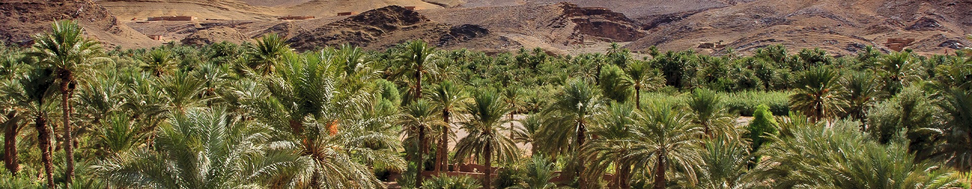 Marrakech y Desierto de Zagora en riads