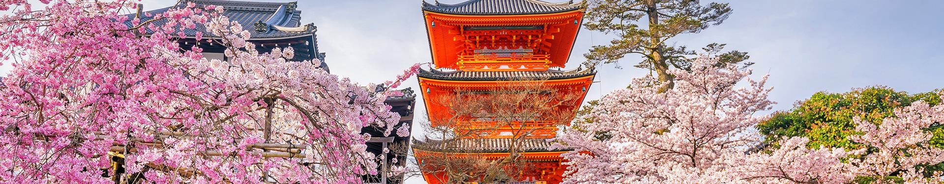 De Tokio a Kioto y Phuket