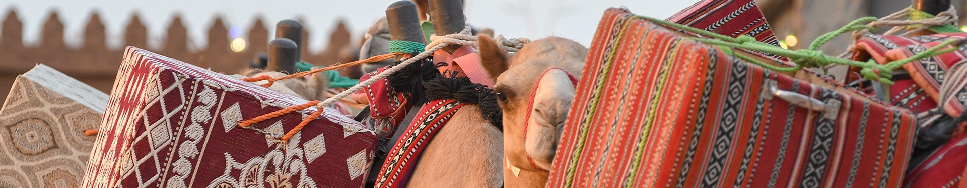 Ruta desde Yeda a Riad