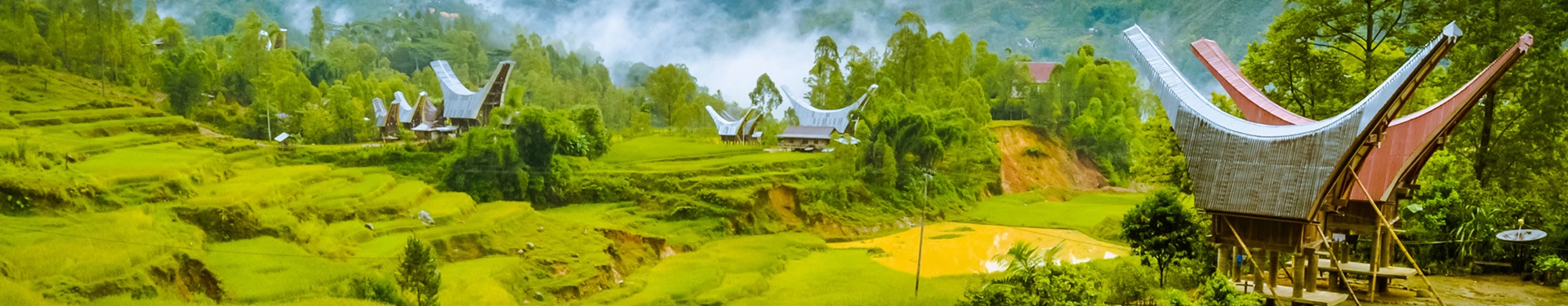 Sulawesi y Bali