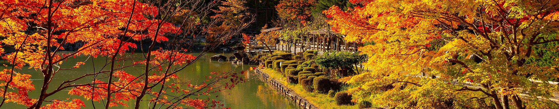 Osaka, Kioto, Takayama, Tokio y Okinawa