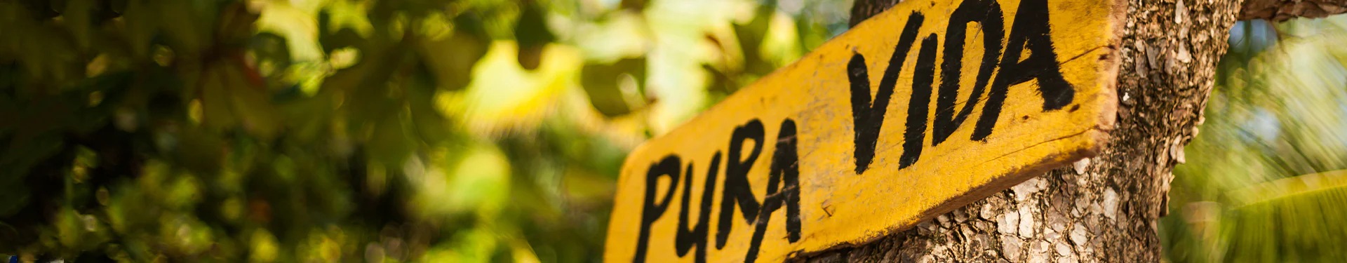 Ruta de Pura Vida