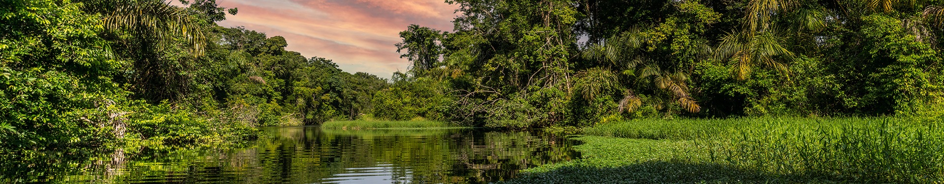 San José con Parque Nacional de Tortuguero, Arenal y Monteverde en coche de alquiler