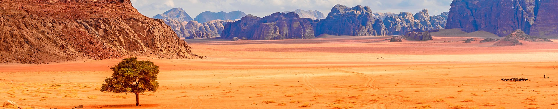 Jordania con noche en Wadi Rum