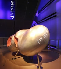 Science Museum