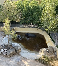 Jardin Zoológico de Lisboa