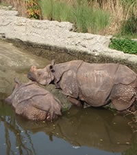 Zoo Basel