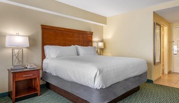Holiday Inn Resort Orlando - Lake Buena Vista, An Ihg Hotel
