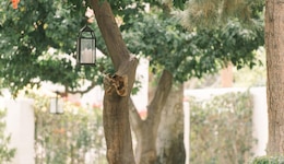 Palm Mountain Resort And Spa