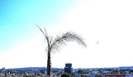 Hotel Campestre Inn