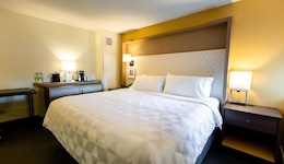 Holiday Inn Toronto Downtown Centre, An Ihg Hotel