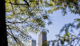 Millennium Knickerbocker Hotel Chicago