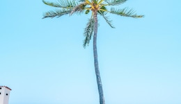 Samba Vallarta - All Inclusive