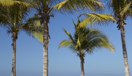 Four Seasons Resort Punta Mita