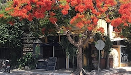 Maison Tulum