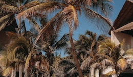 Tago Tulum By G Hotels