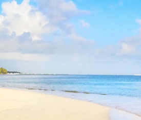 Los cruceros más buscados para visitar Bahamas