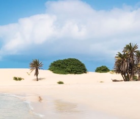 Los cruceros más buscados para visitar Cabo Verde