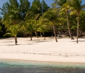 Los cruceros más buscados para visitar Islas Caimán