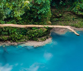 Los cruceros más buscados para visitar Jamaica