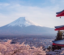 Los cruceros más buscados para visitar Japón