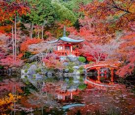Ofertas de cruceros en a Kyoto (Osaka)