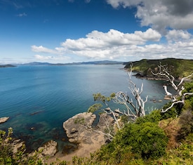 Ofertas de cruceros en a Bahia de las Islas (Nueva Zelanda)
