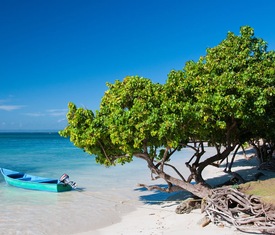 Ofertas de cruceros en a Samaná (Rep. Dominicana)