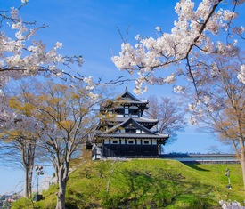 Ofertas de cruceros en a Niigata (Japan)