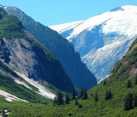 Ofertas de cruceros en a Fiordo Tracy Arm (Alaska)