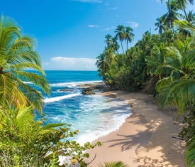 Ofertas de cruceros en a Puerto Limón (Costa Rica)