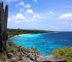 Ofertas de cruceros en a Kralendijk (Bonaire)