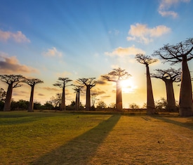 Ofertas de cruceros en Entre Europa y África