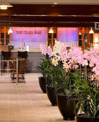 Plaza Bar