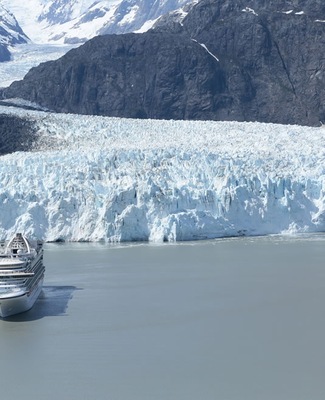 Imágen Crown Princess 14