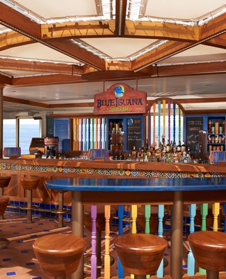 Imágen Carnival Liberty 12