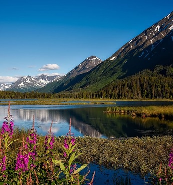 Valdez (Alaska)