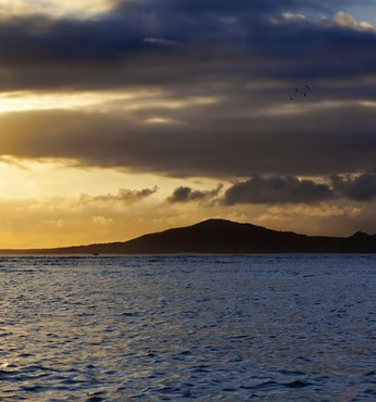 Caleta Tagus (Isabela)