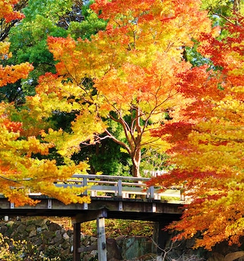 Nagoya (Japón)