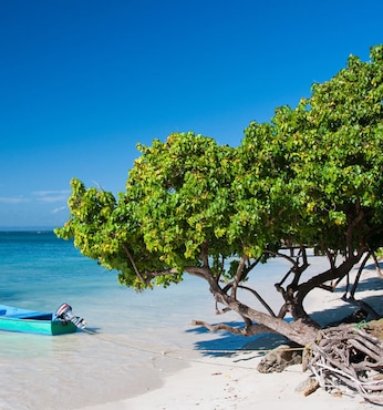 Samaná (Rep. Dominicana)