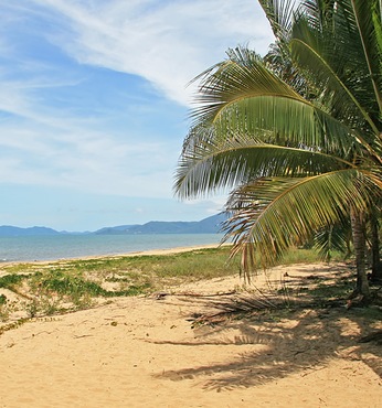 Yorkeys (Cairns)