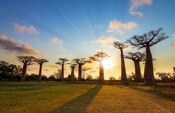 África