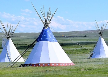 Browning - Mt