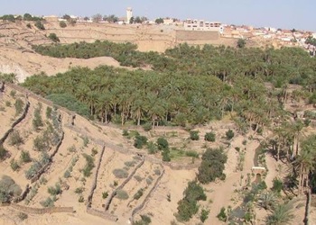 Nefta