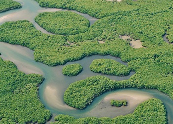 Île de Sangomar
