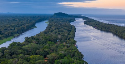 Tortuguero, Arenal, Monteverde, Manuel Antonio y noche en San José