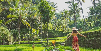 Singapur, Lovina, Candidasa, Ubud e Islas Gili