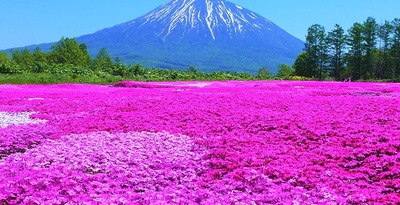 Ruta por Hokkaido y Tokio