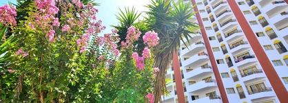 Clube Praia Da Rocha